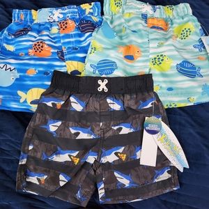 24 Month Swim Shorts